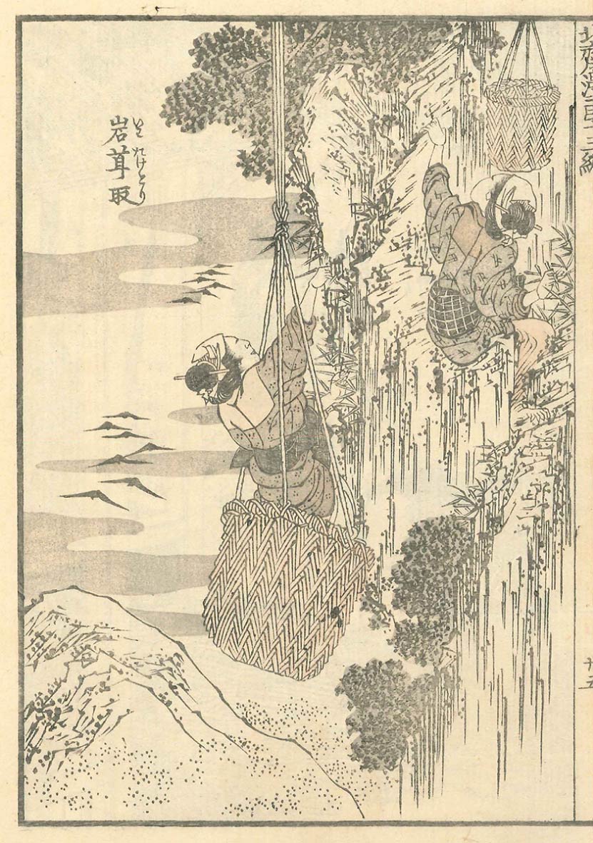 すみだ北斎美術館 - 北斎 大いなる山岳